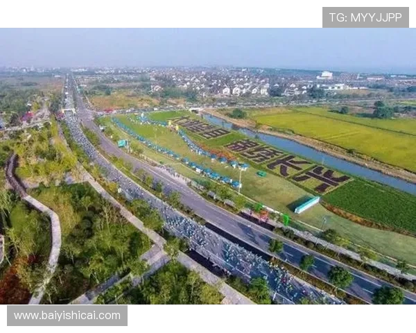 南京飞盘队在马拉松大满贯中的技术表现分析与点评